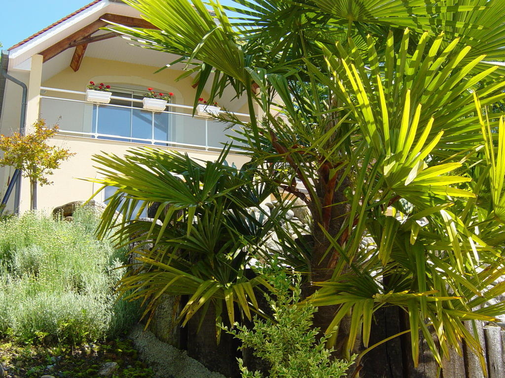 Chambres D'Hotes Coteaux Sud Jurançon Exterior foto